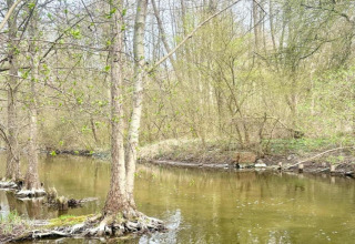 Río y árboles en un entorno natural cerca del chalet Holiday home «Maryna» en Alemania en primavera.