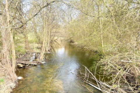 Fiume circondato da alberi germoglianti in primavera presso Holiday home «Maryna», Germania.