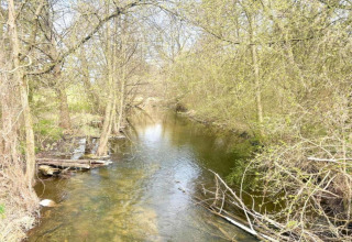 Fluss von Bäumen gesäumt im Frühling bei Holiday home «Maryna» in Deutschland. Helles Wasser.