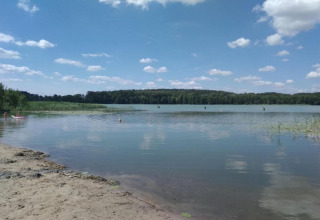 Vista di un lago tranquillo con spiaggia sabbiosa e alberi presso la casa vacanze 'Maryna' in Germania.