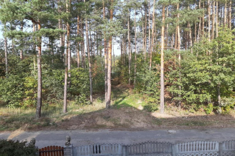 Blick vom Holiday home «Maryna» in Deutschland auf einen Pinienwald und einen Weg in der Sonne.