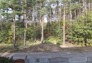 Uitzicht vanop Holiday home «Maryna» in Duitsland, met hoge pijnbomen en een bosrijke, groene omgeving.