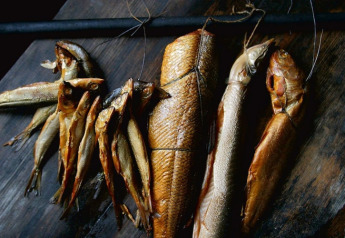 Pescado ahumado colgado de cuerdas sobre madera rústica en un alojamiento de glamping de lujo.