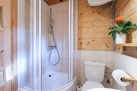 Badkamer in houten vakantiehuisje in Pobierowo, Duitsland, met douche, wc en sierbloem op een plank.