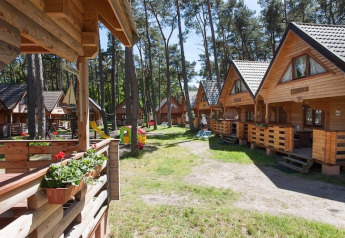Charming wooden cottages at Wooden holiday cottages Pobierowo surrounded by tall pine trees in a peaceful lodge.