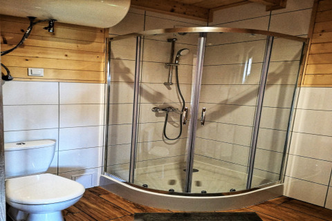 Baño moderno con ducha de vidrio, inodoro y paneles de madera, en la cabaña Lazurowy Zakątek en Alemania.