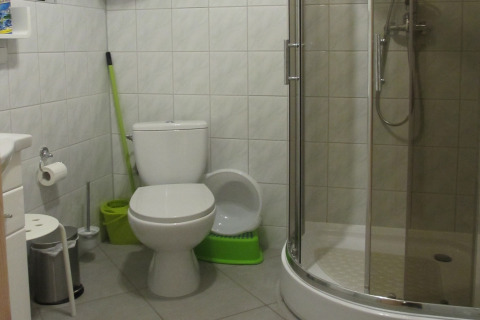 Badkamer met douche, toilet en groene schoonmaakartikelen in Charming House on a Hill, Duitsland.