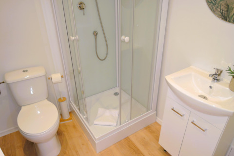Moderne badkamer in een huisje met toilet, douchecabine, witte wastafel en lichte houten vloer.