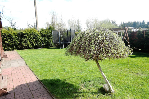 Tuin van het huisje met stenen pad, trampoline en bijzondere boom bij 'Peace and quiet', Duitsland.