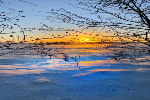 Splendido tramonto su un campo innevato visto da un lodge, rami incorniciano il cielo dorato.