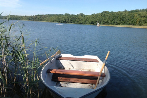 Rowboat docked at the edge of a calm lake, surrounded by reeds and forest under a clear sky.
