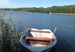 Rowboat docked at the edge of a calm lake, surrounded by reeds and forest under a clear sky.