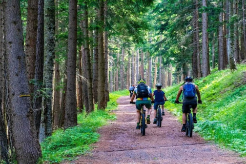 Een groep fietsers rijdt op een bospad omringd door hoge bomen vlakbij een lodge in het bos.