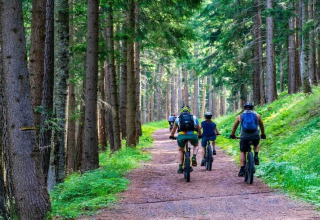 Un gruppo di ciclisti percorre un sentiero nel bosco circondato da alberi vicino a un rifugio.
