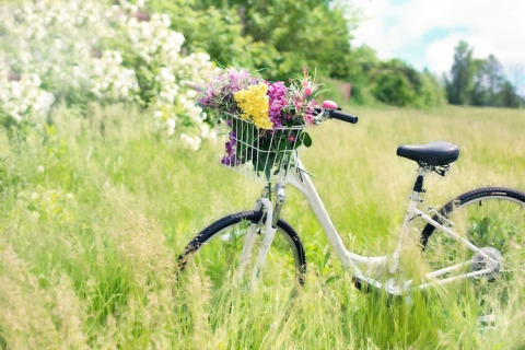 Bicicletta bianca con cestino di fiori in un prato vicino a un lodge, circondata da erba alta e fiori.