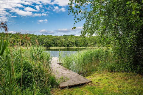 Molo di legno sul lago Klępnica in Germania, immerso nel verde e circondato da canne e alberi.