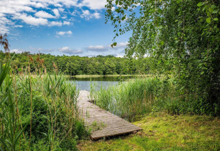 Houten steiger aan het meer Klępnica in Duitsland, omgeven door groen en riet onder een blauwe lucht.