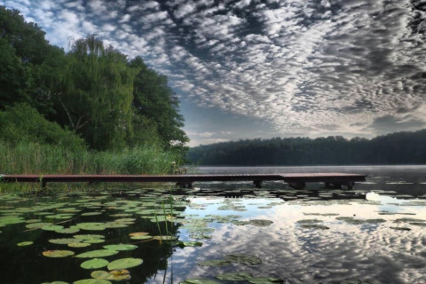 Muelle de madera sobre lago con nenúfares, bosque verde y nubes dramáticas en House by Lake Klępnica, Alemania.