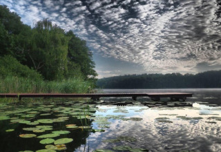 Wooden pier over lake with water lilies, lush forest and dramatic clouds at House by Lake Klępnica, Germany.