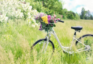 Una bicicleta blanca con una canasta de flores está en la hierba alta junto a House by Lake Klępnica en Alemania.