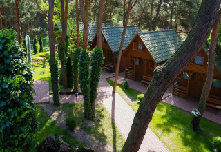 Træhytter med grønne tage blandt høje træer og stier ved Holiday cottages Łazy i Danmark.