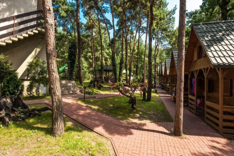 Vista exterior de Holiday cottages Łazy con cabañas de madera y senderos rodeados de altos pinos en el bosque.