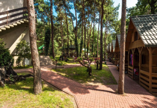 Udendørs billede af Holiday cottages Łazy, som viser træhytter og stier mellem fyrretræer i skoven.