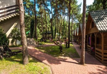 Vista esterna delle Holiday cottages Łazy con casette di legno e sentieri tra pini alti nella foresta.