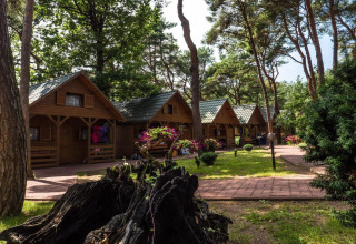 Træhytter i skovområde ved Holiday cottages Łazy, solskin og grønne omgivelser i Danmark.