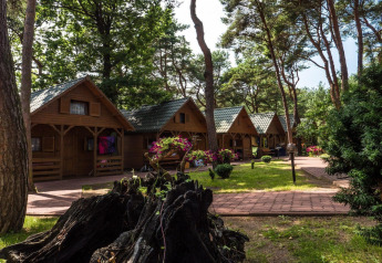 Træhytter i skovområde ved Holiday cottages Łazy, solskin og grønne omgivelser i Danmark.