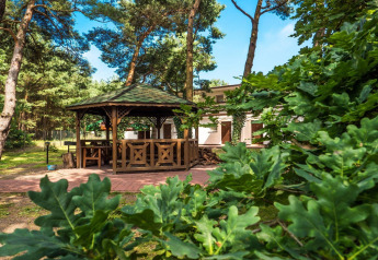 Casetta e gazebo in legno nella foresta presso Holiday cottages Łazy, giornata soleggiata in Danimarca.