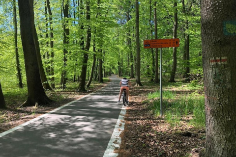 Fietser op een verharde bosweg bij het verblijf 'Two-storey holiday cottages for max 6 people Mielenko' in Denemarken.