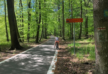 Cyclist on a paved forest path near the lodge 'Two-storey holiday cottages for max 6 people Mielenko' in Denmark.