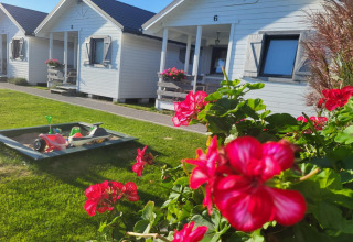 Rode bloemen op de voorgrond en witte vakantiewoningen met speelzandbak achteraan in Gąski, Denemarken.