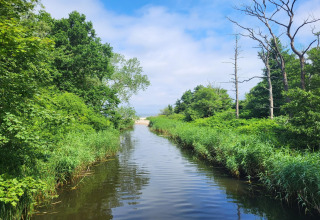 Scenic view near Holiday cottages in Gąski, Denmark, showing lush greenery and a tranquil waterway.