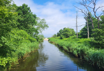 Landschaftsbild nahe den Ferienhäusern in Gąski, Dänemark, mit Fluss, üppigem Grün und blauem Himmel.