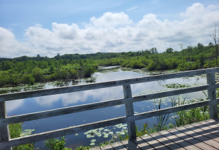 Uitzicht over een moeras vanaf een houten brug bij Holiday cottages in Gąski, veel groen en deels bewolkte hemel.