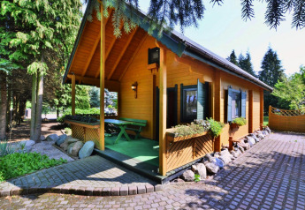 Een sfeervolle houten lodge tussen bomen en planten, met een stenen pad en zitplek op de veranda.