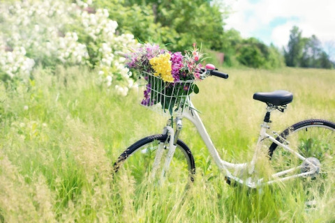White bicycle with a basket of colorful flowers in a meadow at Twin single-storey cottages Jarosławiec in Denmark.