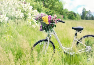 Witte fiets met bloemenmand in een grasveld bij Twin single-storey cottages Jarosławiec in Denemarken.