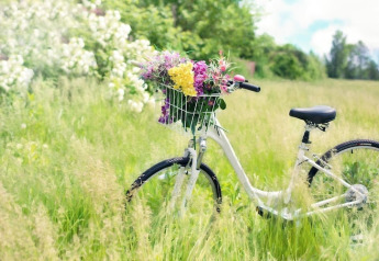 Hvid cykel med blomster i kurven, stående i en solrig grøftekant ved Twin single-storey cottages Jarosławiec.
