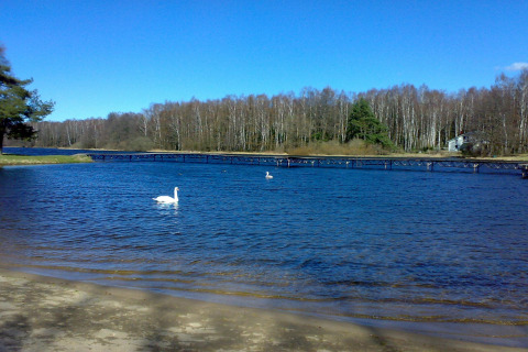 Aussicht auf den See am Haus in Rosnowo in Dänemark mit Schwänen, Brücke und bewaldetem Ufer.