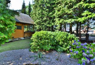 Lush garden with bushes and flowers outside a wooden lodge, surrounded by tall pine trees and sunlight.
