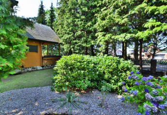 Tuin met struiken en bloemen bij een houten lodge, tussen hoge bomen en zomerse sfeer, rustige omgeving.