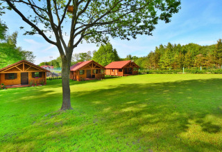 Photo of cozy wooden cabins on a green lawn, surrounded by trees, perfect for a glamping getaway.