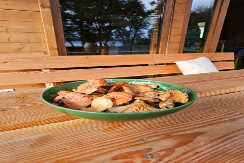 En grøn skål med svampe på et træbord ved LAWENDA sommerhus, udendørs, i Grąbczyn, Danmark.