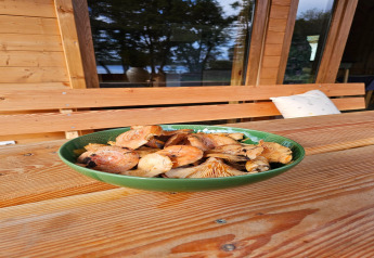 Un bol vert de champignons sur une table en bois au gîte LAWENDA à Grąbczyn, Danemark.