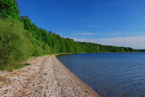 Sandy lakeshore and clear blue water beside lush greenery near LAWENDA holiday cottage, Grąbczyn, Denmark.