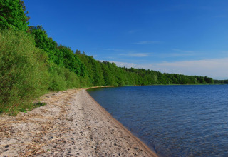 Zandige oever en helderblauw meer bij groen bos nabij LAWENDA vakantiewoning, Grąbczyn, Denemarken.