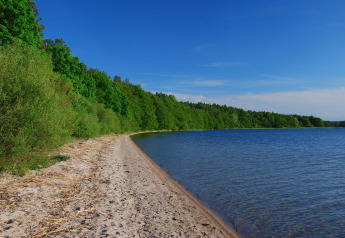 Plage de sable au bord d’un lac, eau bleue claire et forêt près du chalet LAWENDA à Grąbczyn, Danemark.